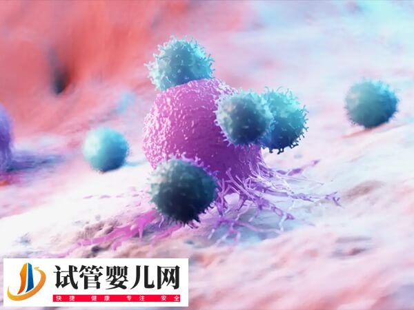 備孕外周血nk細胞比例高好還是低好？(圖1)