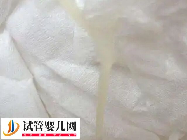 卵泡破裂會不會肚子疼(圖2)