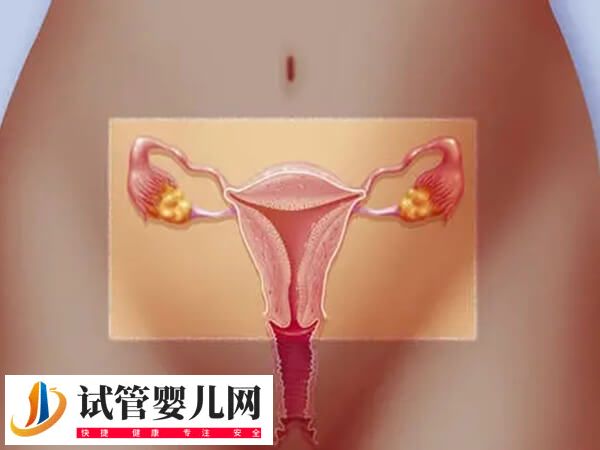 卵泡破裂會不會肚子疼(圖4)