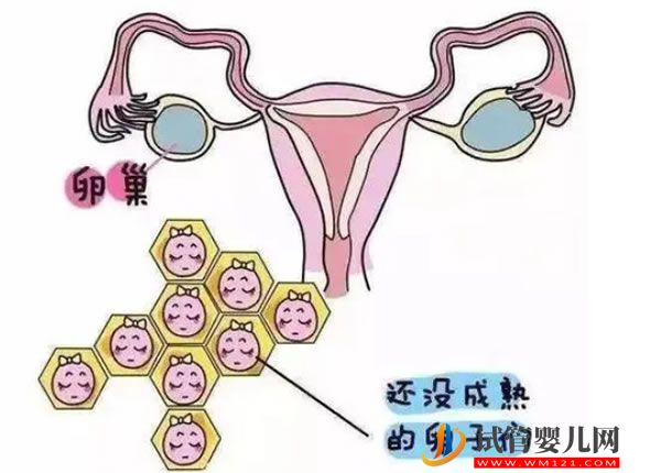 Cell：重磅！全球首位女性艾滋病患者或已被治愈，特殊干細(xì)胞移植(圖2)