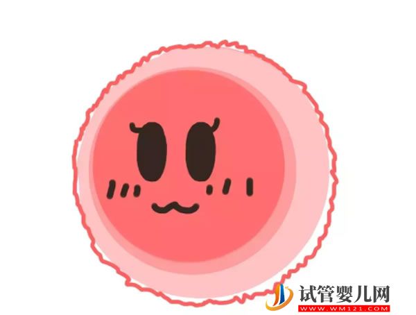 三代試管嬰兒 瀘州納溪區(qū)試管嬰兒哪個(gè)好,瀘州試管哪個(gè)醫(yī)院好 (圖1)